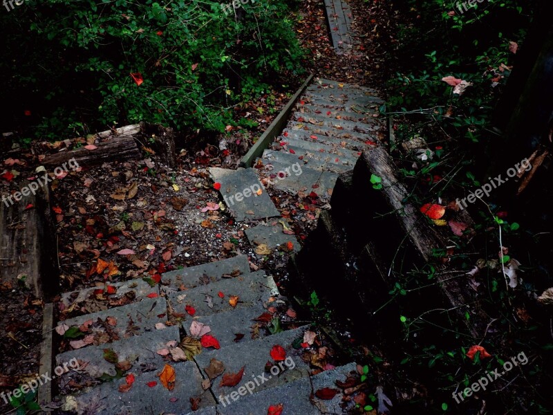 Stairs Path Hiking Nature Autumn