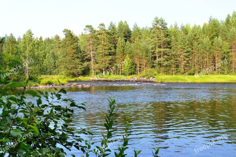 River Trees Leaves Day Sun