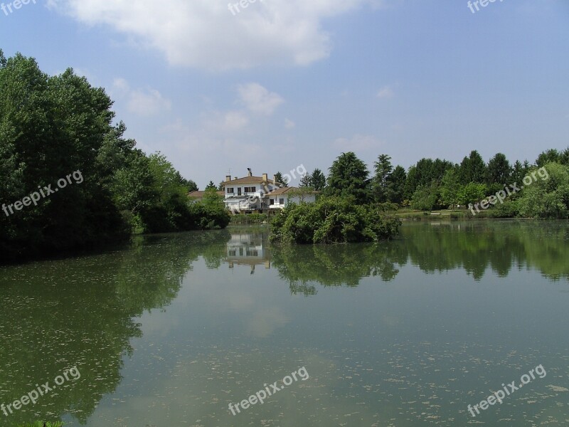 Fish Pond Italy Pocenia Free Photos