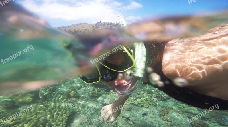 Snorkel Diving Fun Diver Dive