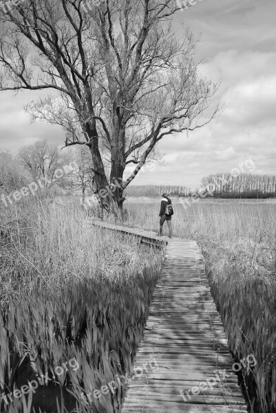 Nature The Blanckaert Swamp Trousers Depth Composition