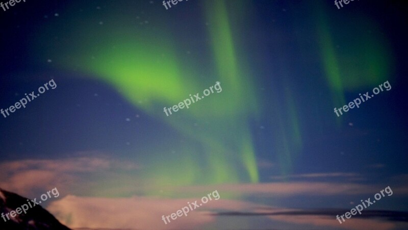 Northern Lights Aurora Aurora Borealis Amazing Beautiful