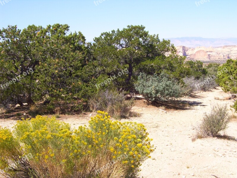 Utah Desert Landscape Nature Rock