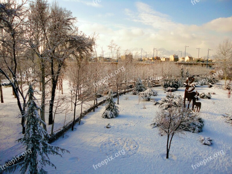 Snow Isfahan Iran Free Photos