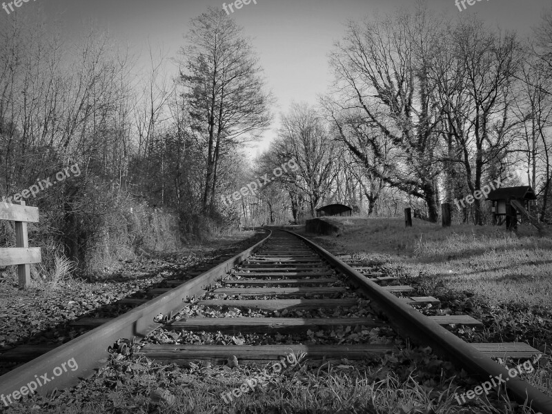 Gleise Railway Tracks Rails Railroad Tracks Track Bed