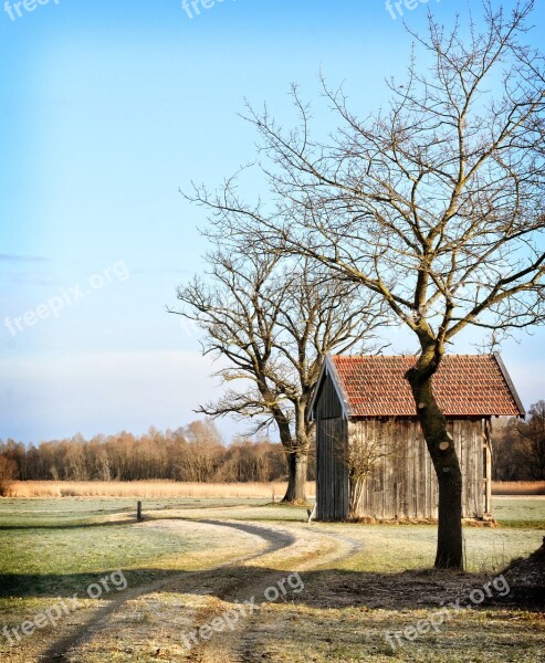 Barn Hut Log Cabin Nature Field