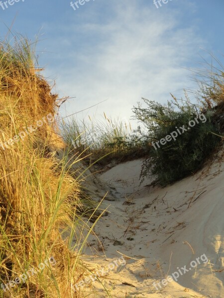 Beach The Sand Dunes Poland The Baltic Sea Sand