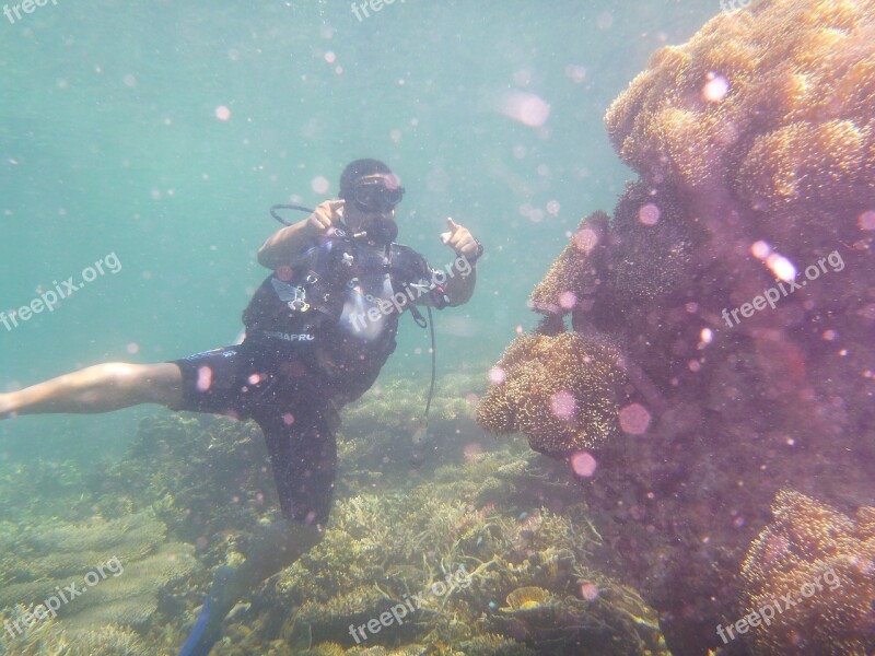 Swimming Tourism Holiday Beach Outdoor