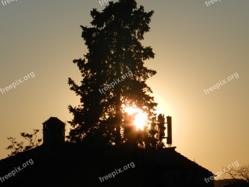 Against The Light Sunset Tree Free Photos