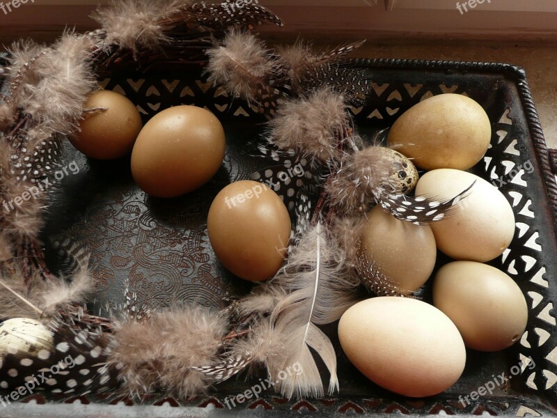 Easter Easter Eggs Decoration Egg Easter Nest