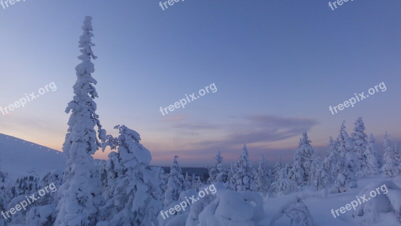 Finland Winter Snow Snowy Arctic Circle