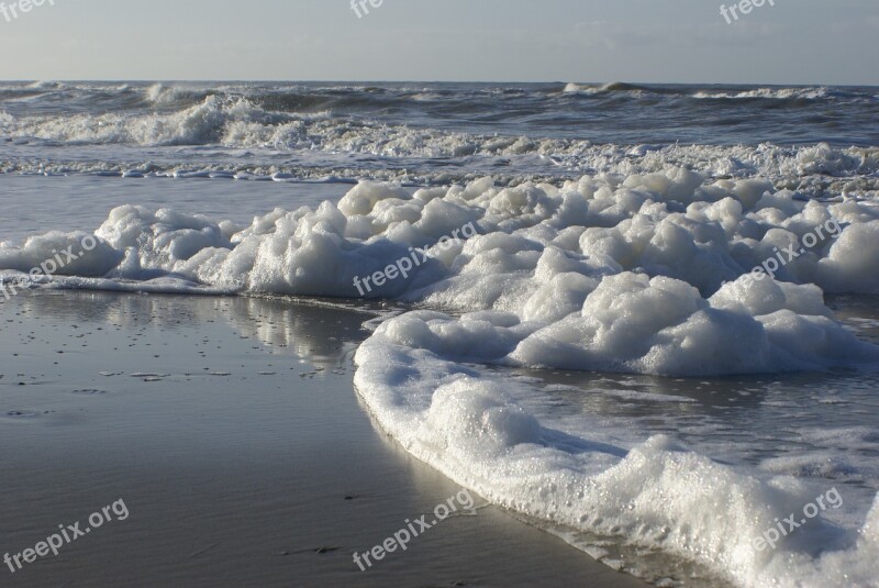 Beach Coast Sea Foam Free Photos