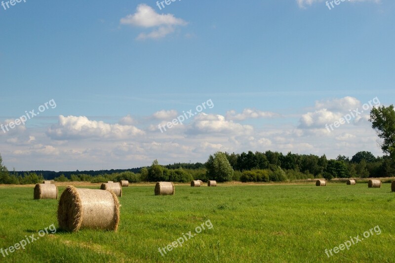 Hay Beams Rolls Summer Landscape