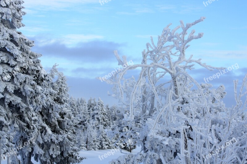 Fichtelberg Ice Age December Free Photos