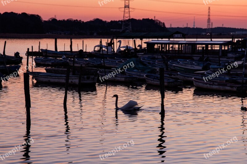 Marsh Lake Sunset Landscape Evening View