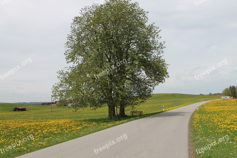 Allgäu Landscape Road Mountain Landscape Allgäu Alps