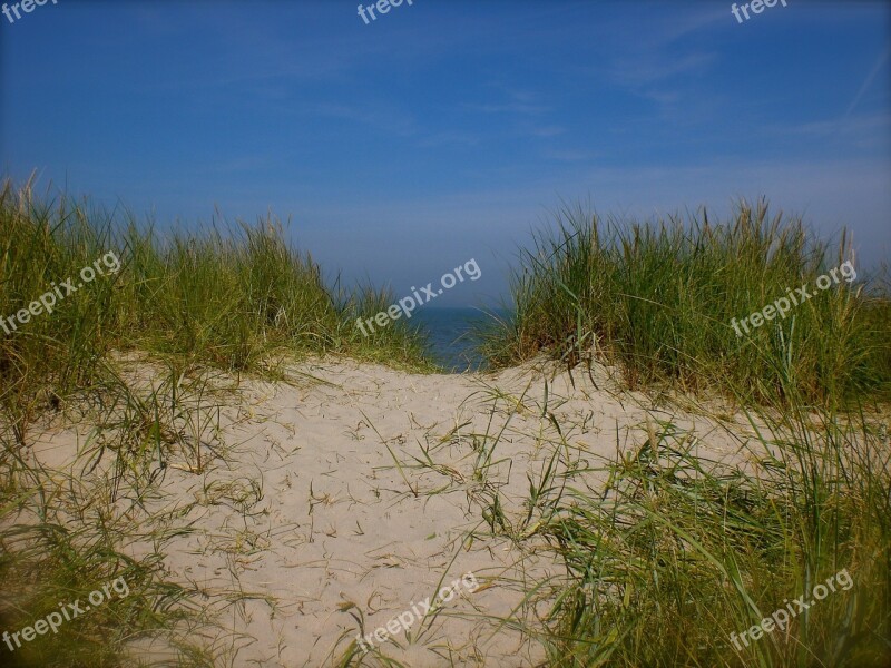 Sea Dunes Dune Grass Sand North Sea