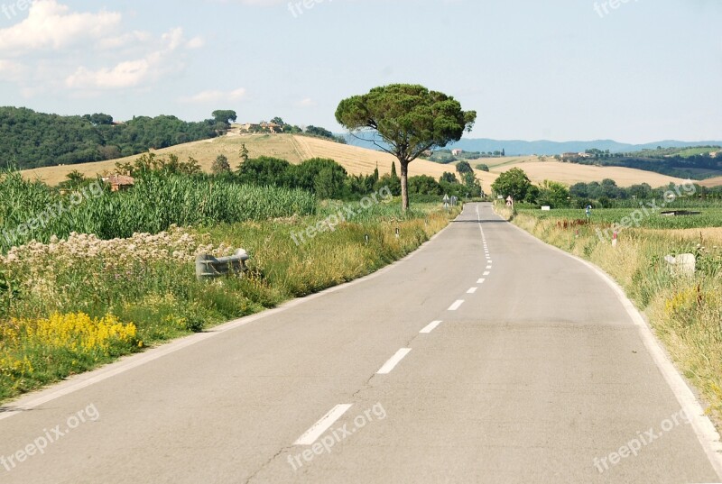 Italy Tuscany Road Roadtrip Landscape