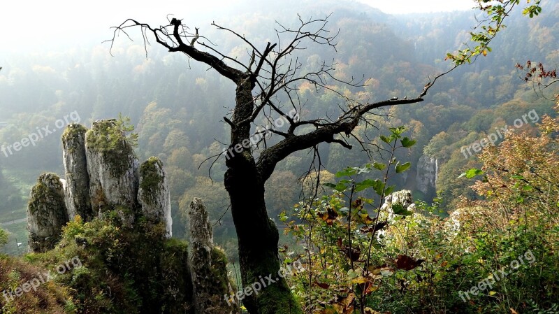 Poland Nature Landscape Paternity National Park Rock