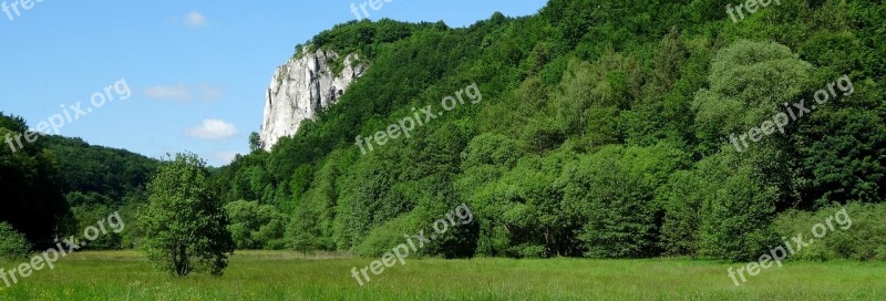 Tree Rock Poland Landscape Nature