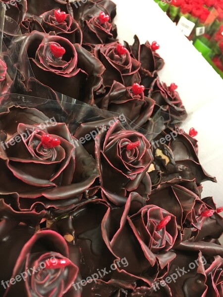 Rose Choco Valentine Flowers Roses