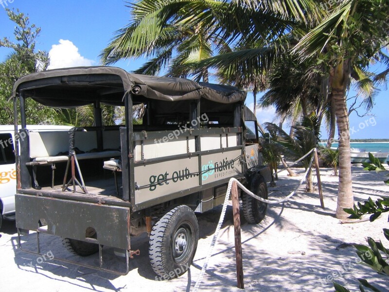 Sea Palm Trees Auto Unimog Free Photos