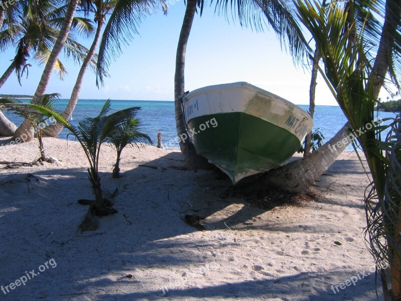 Mexico Sea Boat Palm Trees Rowing Boat