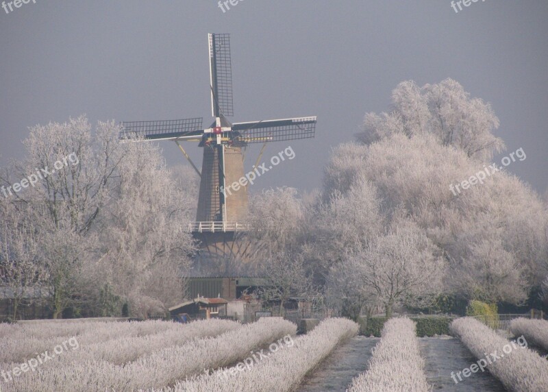 Mill Winter Black Berries Ripe Winter Landscape