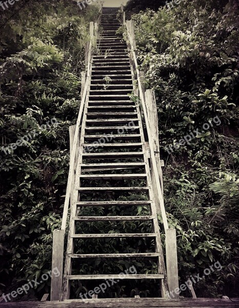 Ladder Of Wood Nature Landscape Free Photos