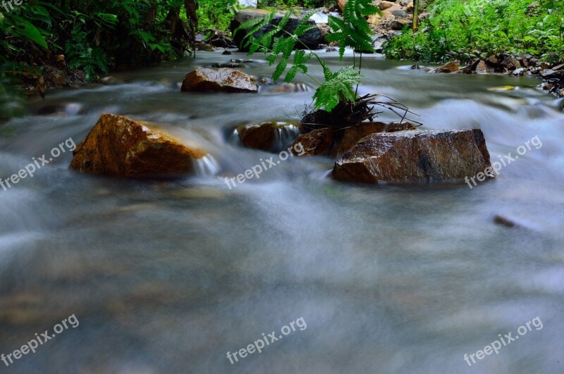 Water Brook Flow Nature River