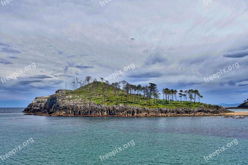 Island Headland Trees Lekeitio Point