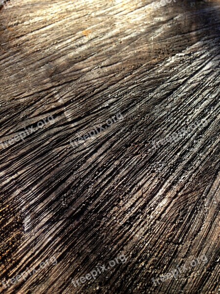 Wood Old Wood Trunk Texture Stripe Wood