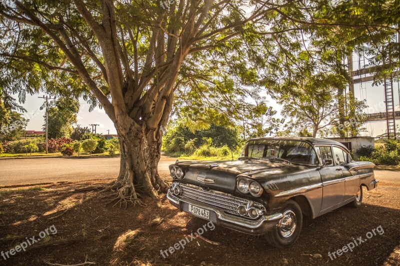 Cuba Car Forest Adventure Old Car