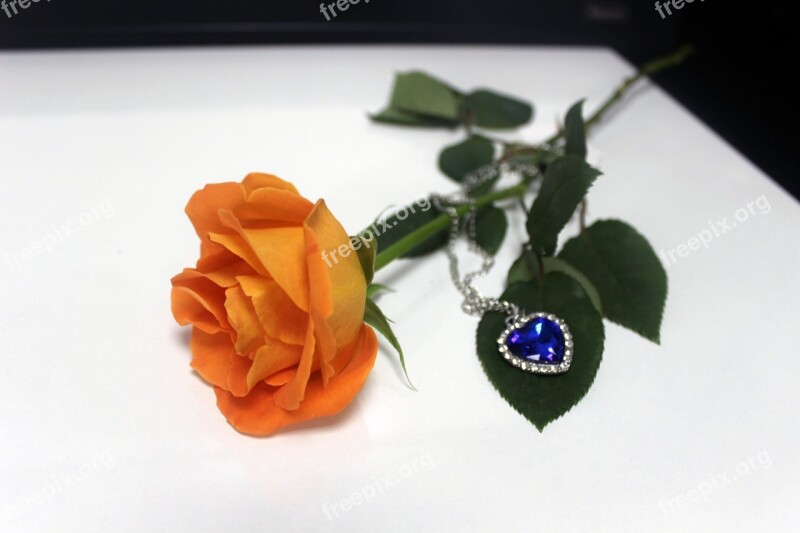 Orange Rose Necklace Rose Flower Free Photos