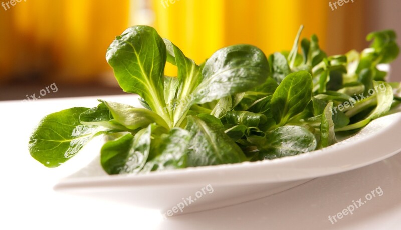 Lamb's Lettuce Eat Vitamins Salad Healthy