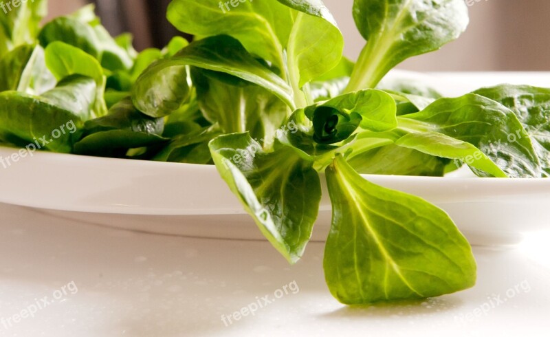 Lamb's Lettuce Green Eat Leaves Vitamins