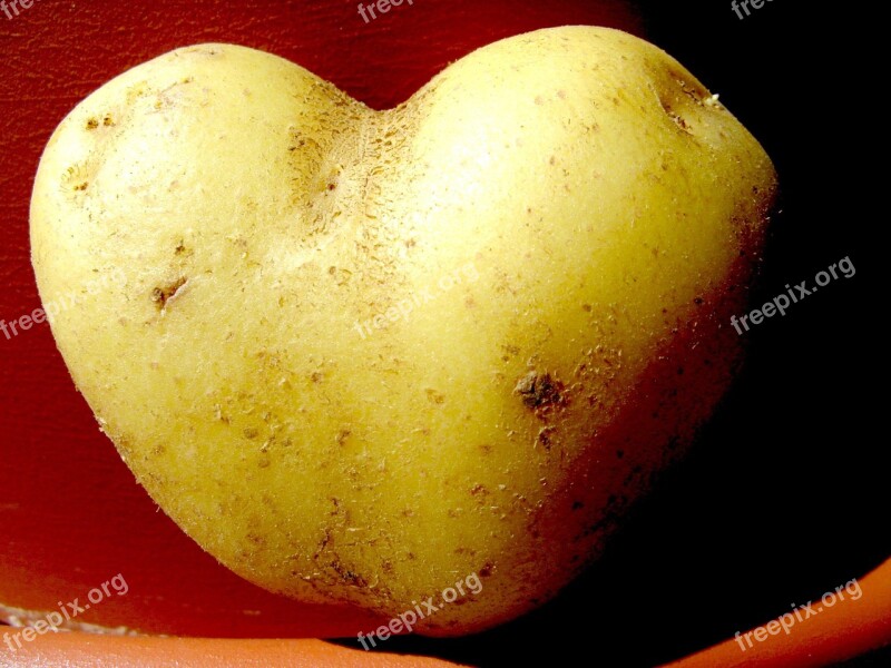 Potato Heart Vegetables Free Photos