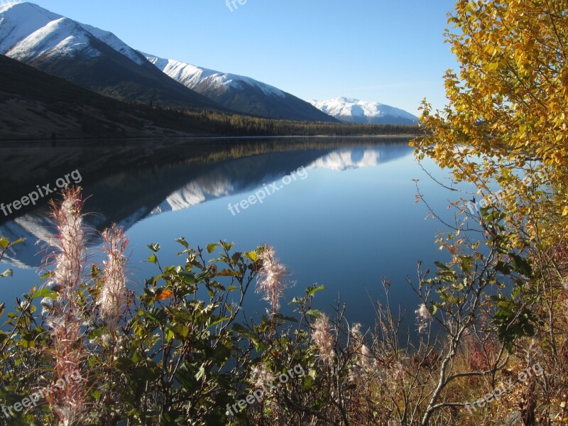 Alaska Reflection Mountain Lake Fireweed