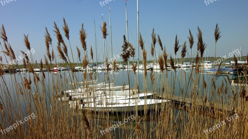 Cospudener See Leipzig Web Sailing Boats Silent