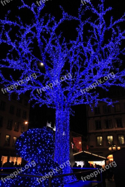 Tree Led Blue Free Photos