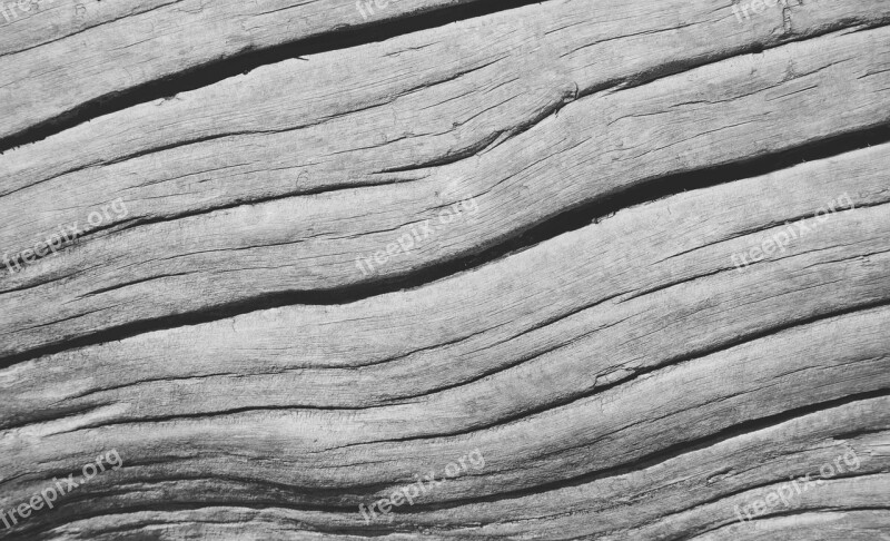 Wood Texture Grain Wood Texture Pine