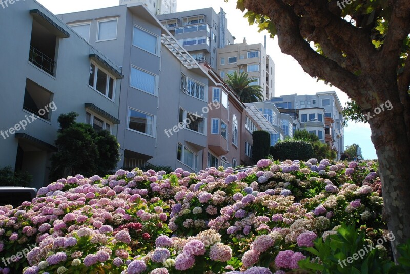 San Francisco Lombard Hill Landmark Destination