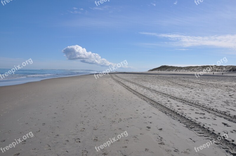 Beach Dunes Dune Marram Grass Sand