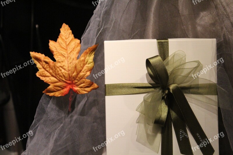 Gift Leaf Bow Birthday Free Photos