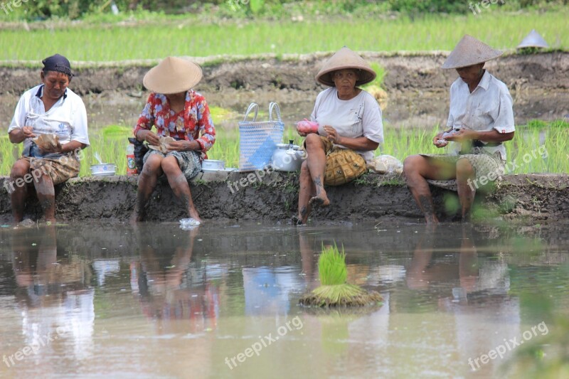 Work Together Farming Green Landscape Farm