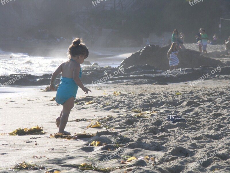 Beach Ocean Shore Sea Water