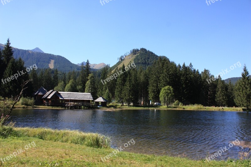 Alpine Lake Nature Austria Alpine Water