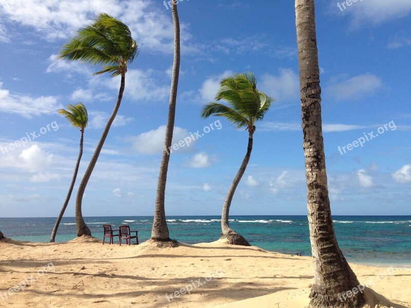 Caribbean Uraub Sea Palm Trees Beach