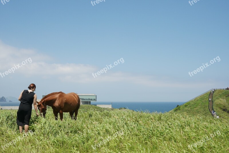 Jeju Island Landscape Sea Jeju Jeju Sea