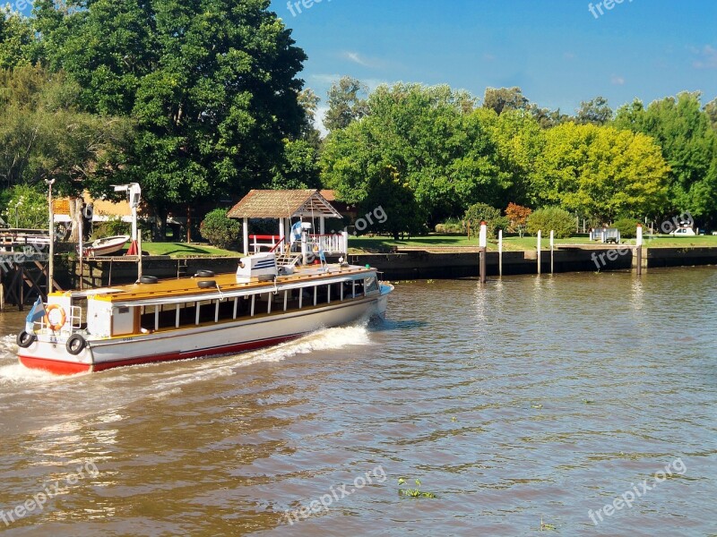 Tiger Argentine Delta Argentina River Water